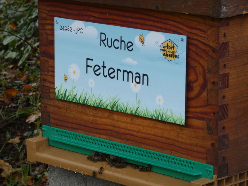 La ruche