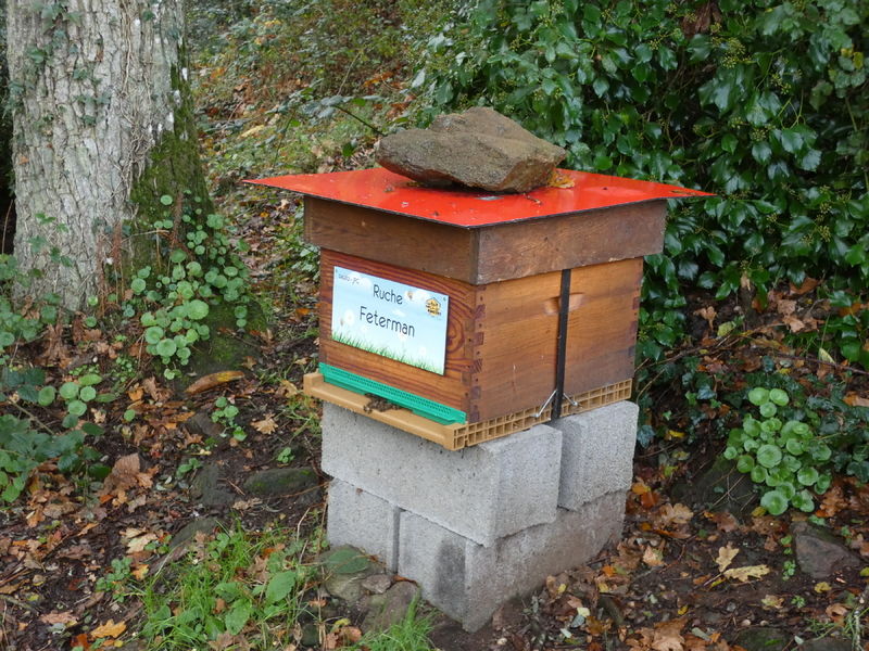 La ruche Feterman