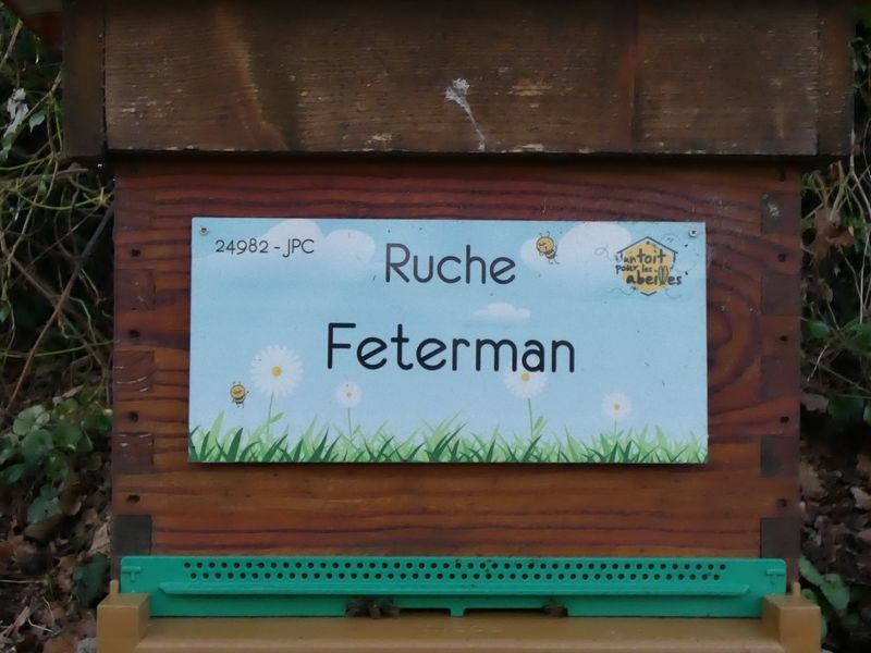 La ruche Feterman