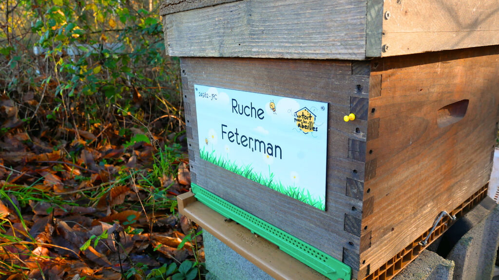La ruche Feterman