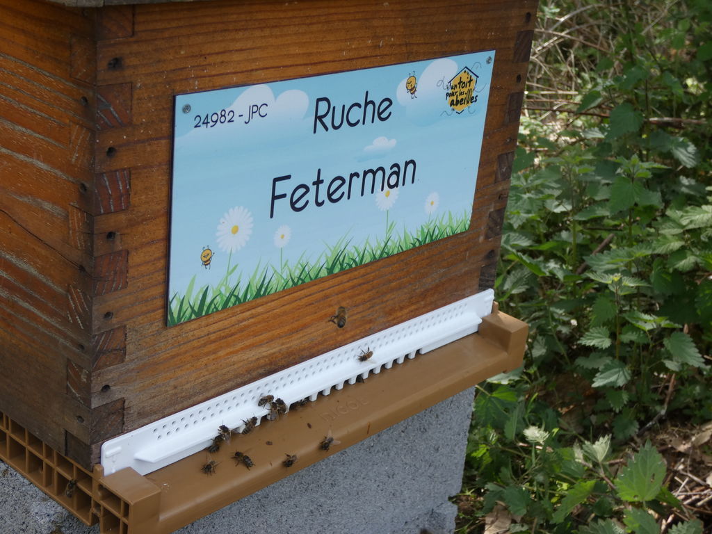La ruche Feterman