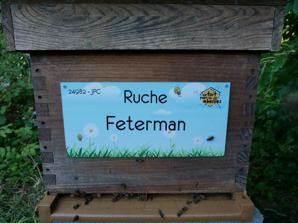 La ruche Feterman