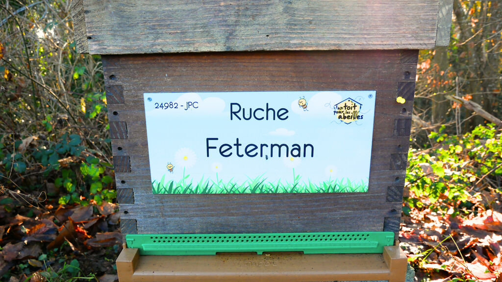 La ruche Feterman
