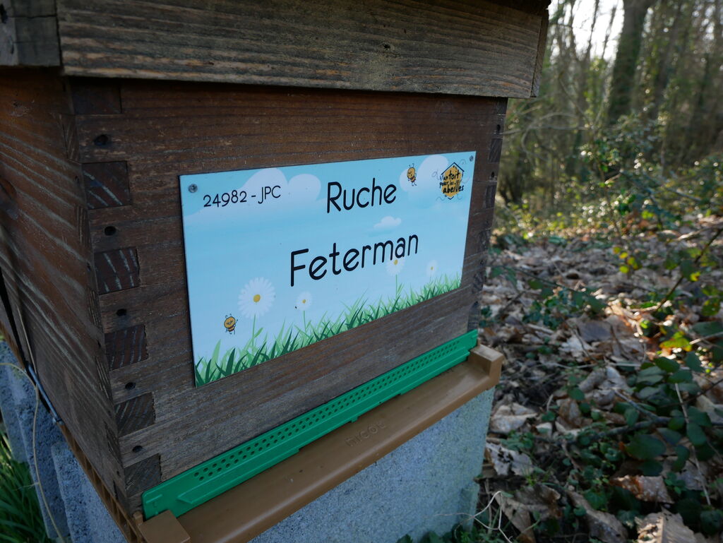 La ruche Feterman