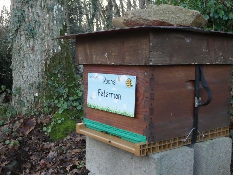 La ruche Feterman