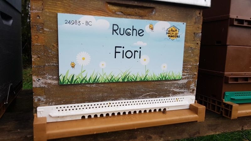 La ruche Fiori