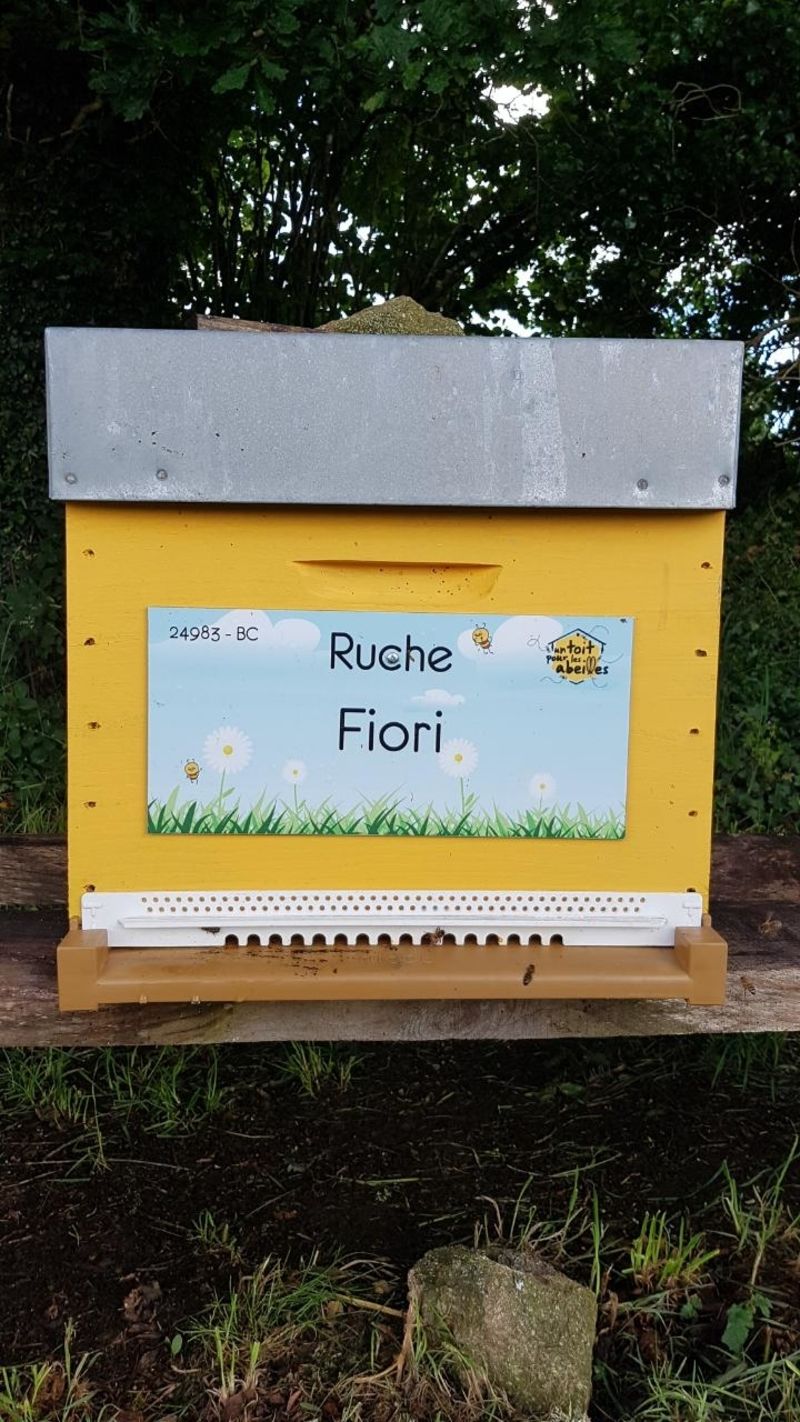 La ruche Fiori