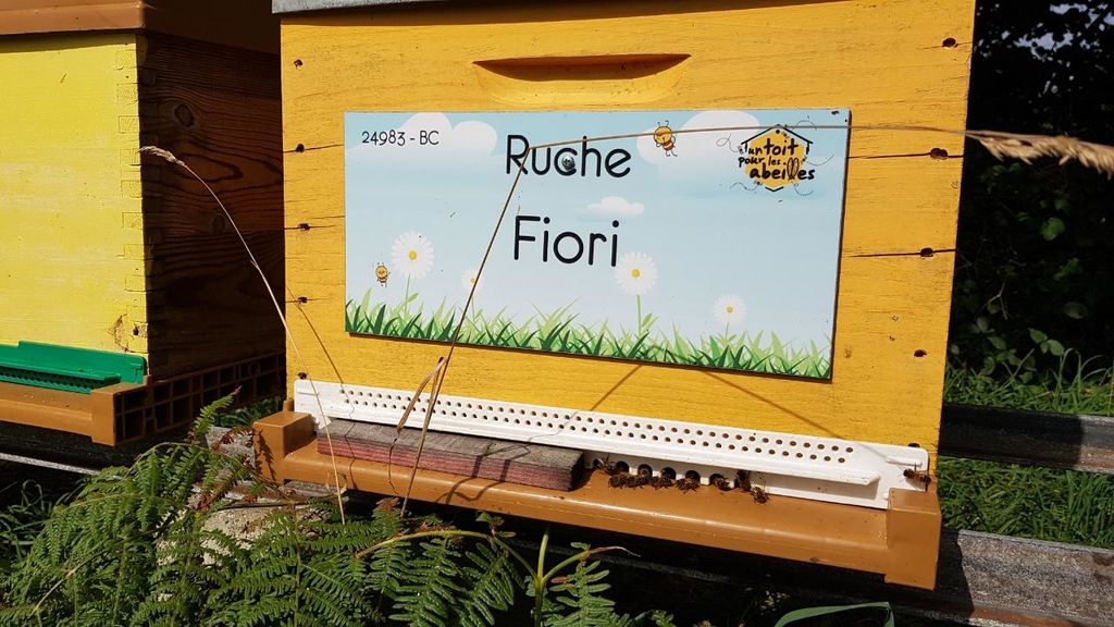 La ruche Fiori