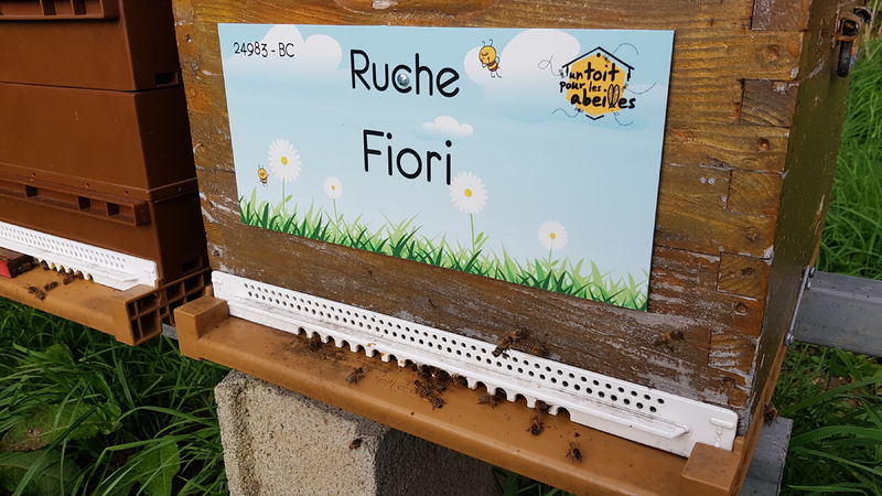 La ruche Fiori