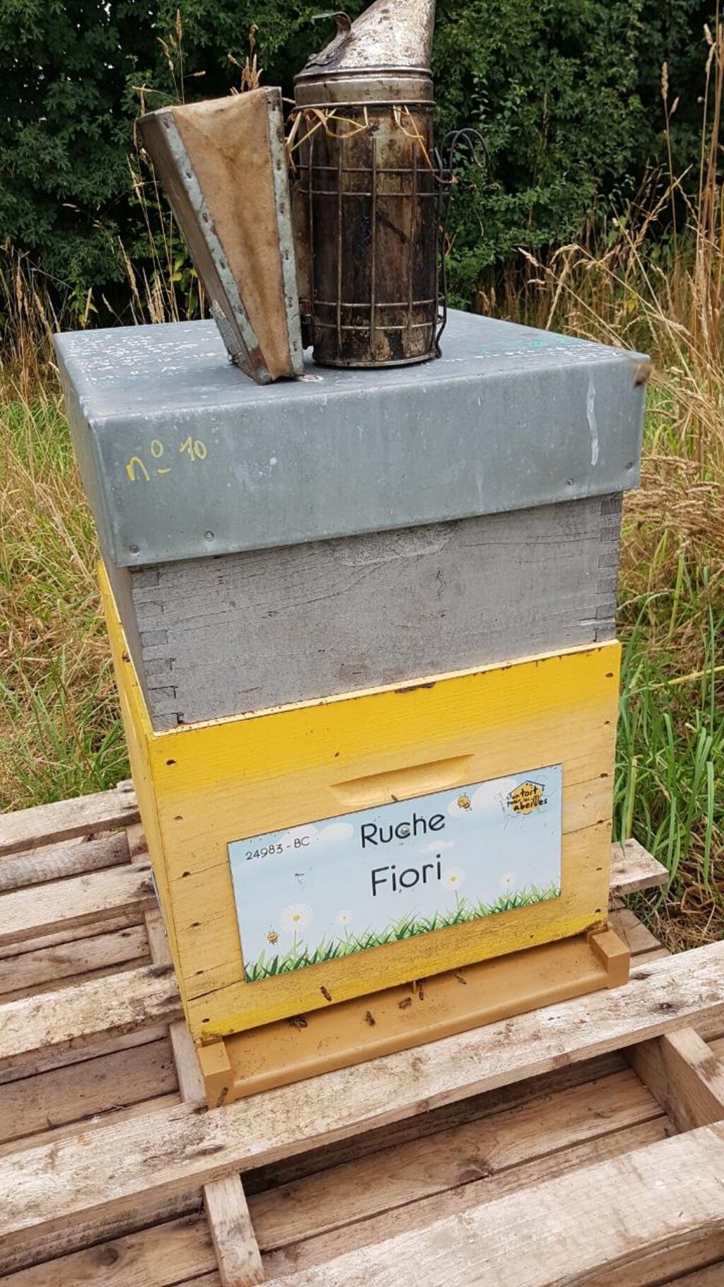 La ruche Fiori