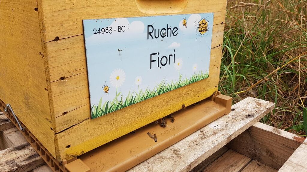 La ruche Fiori