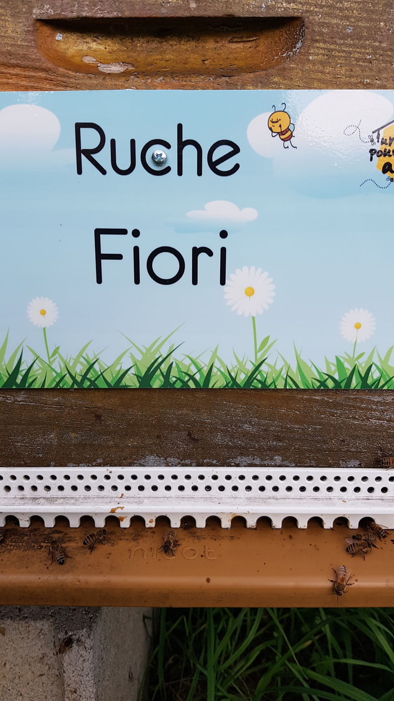 La ruche Fiori