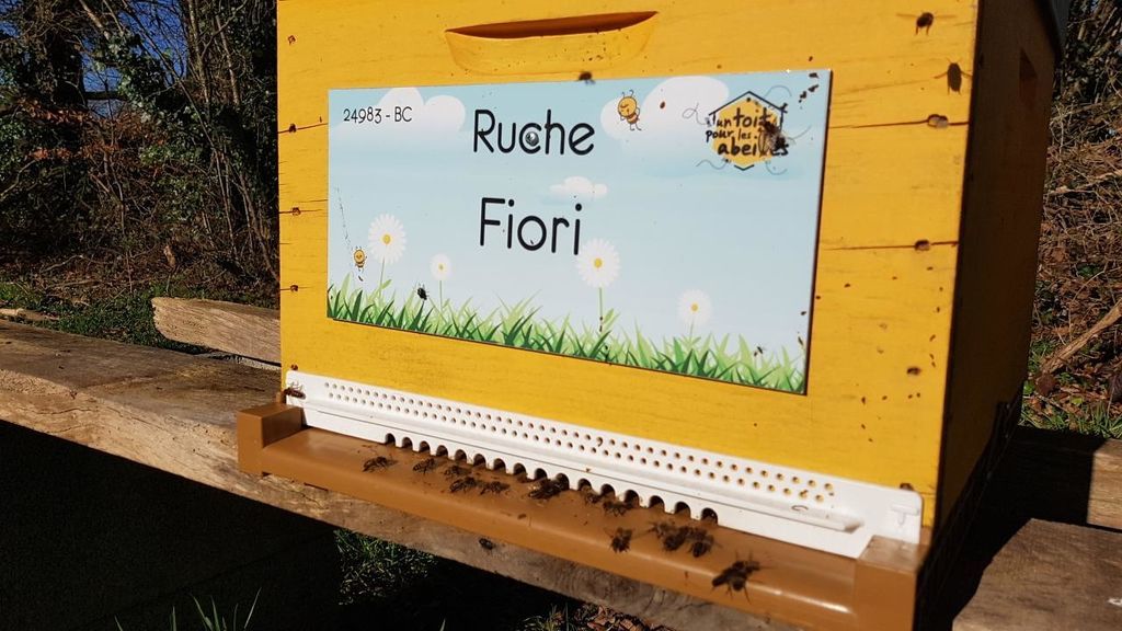 La ruche Fiori