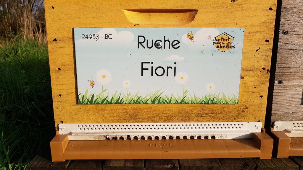 La ruche Fiori