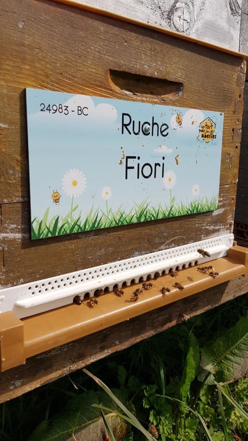 La ruche Fiori