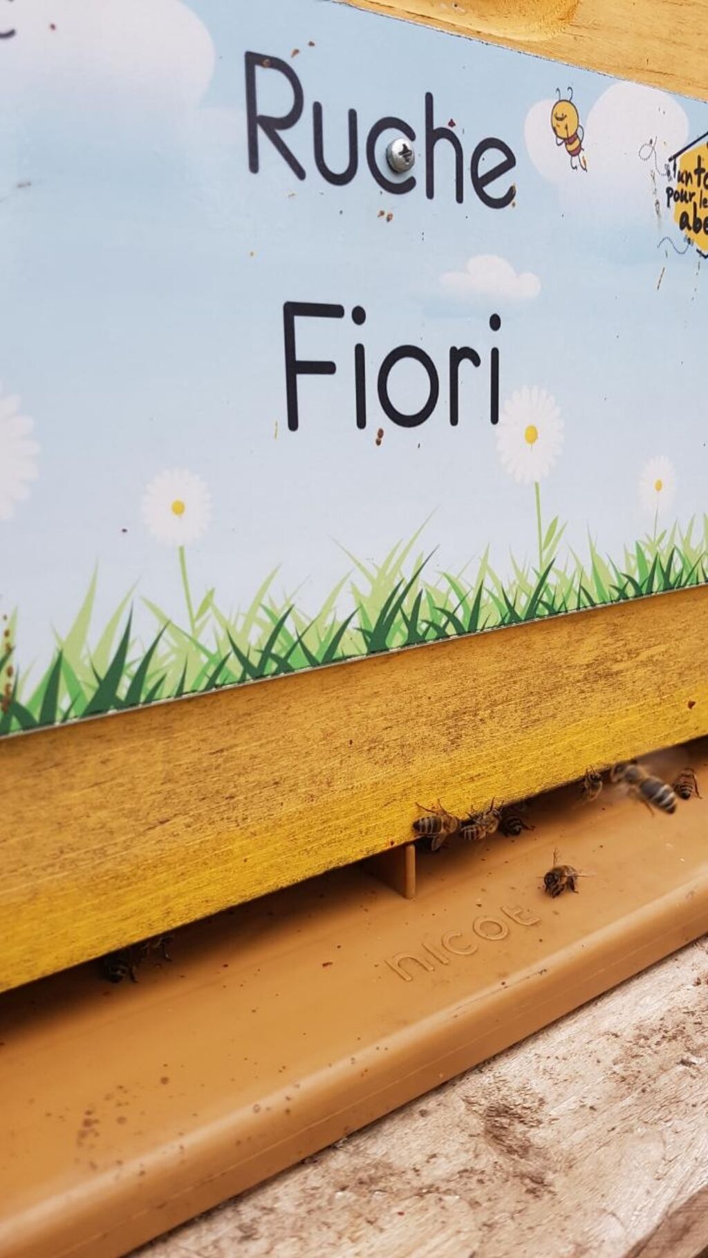 La ruche Fiori