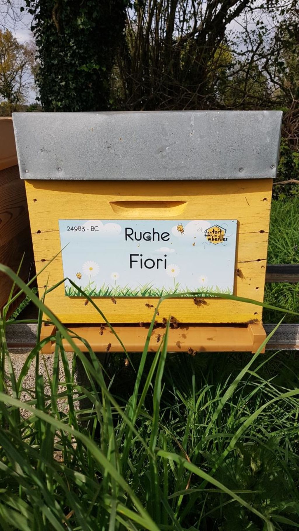 La ruche Fiori