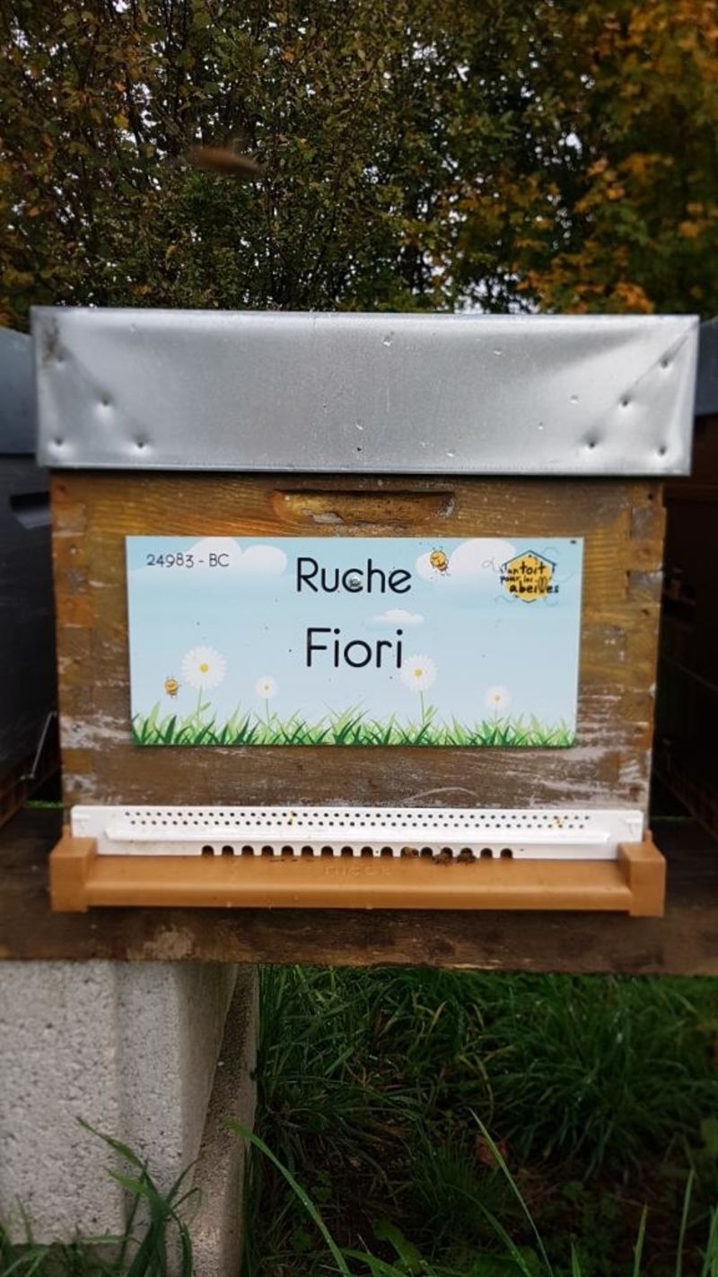 La ruche Fiori