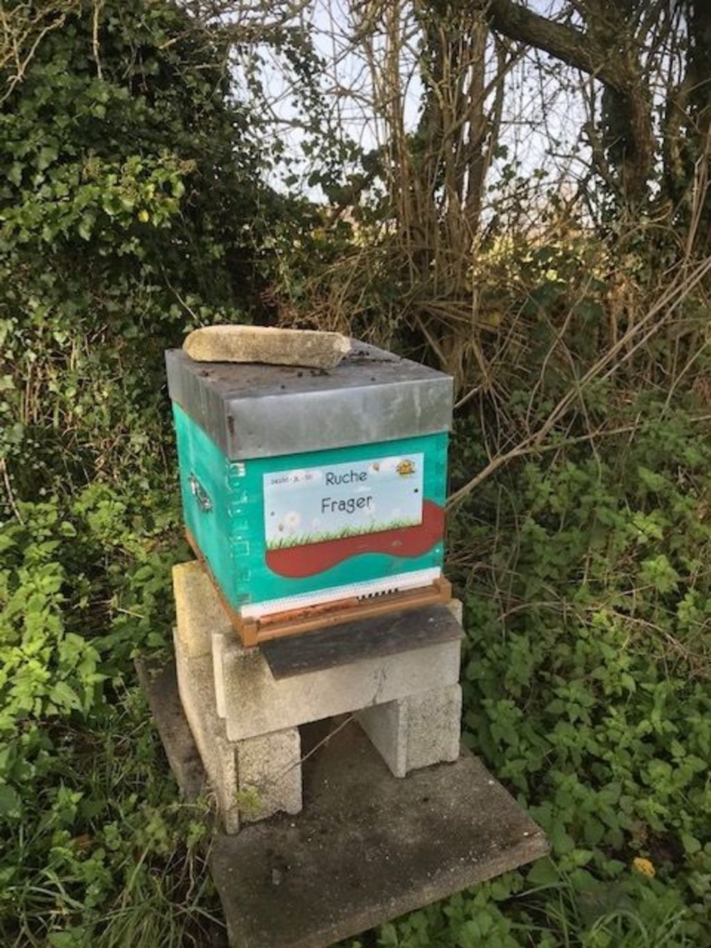 La ruche Frager
