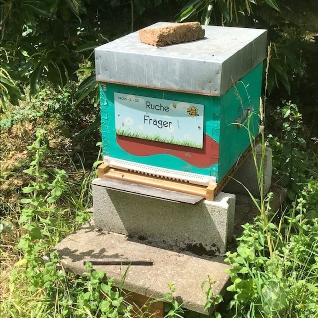 La ruche Frager