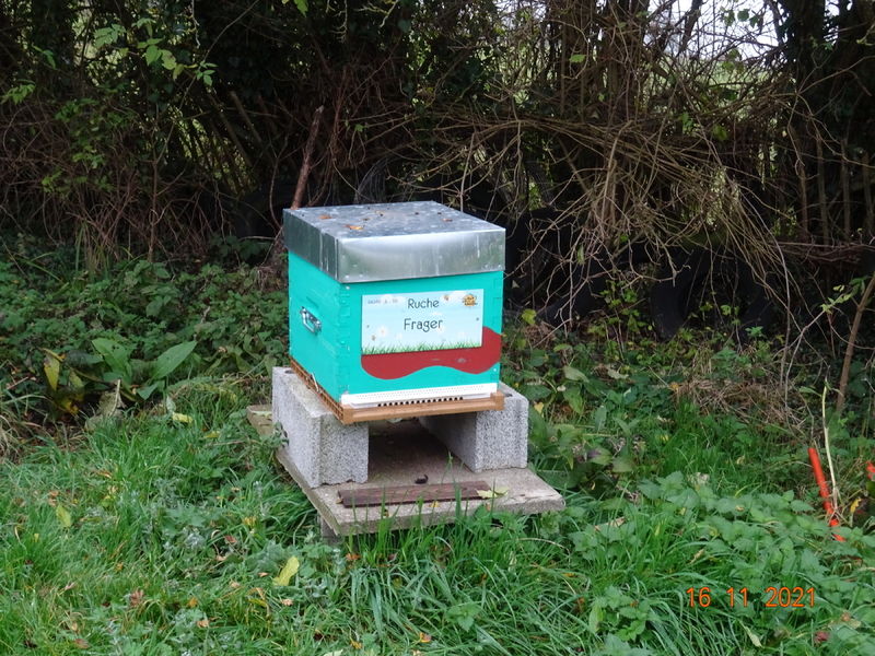 La ruche Frager