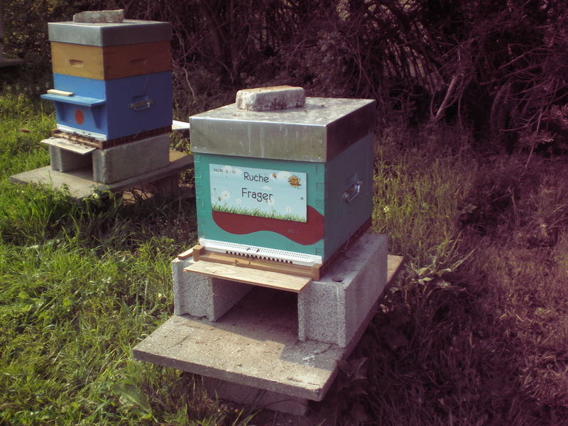 La ruche Frager