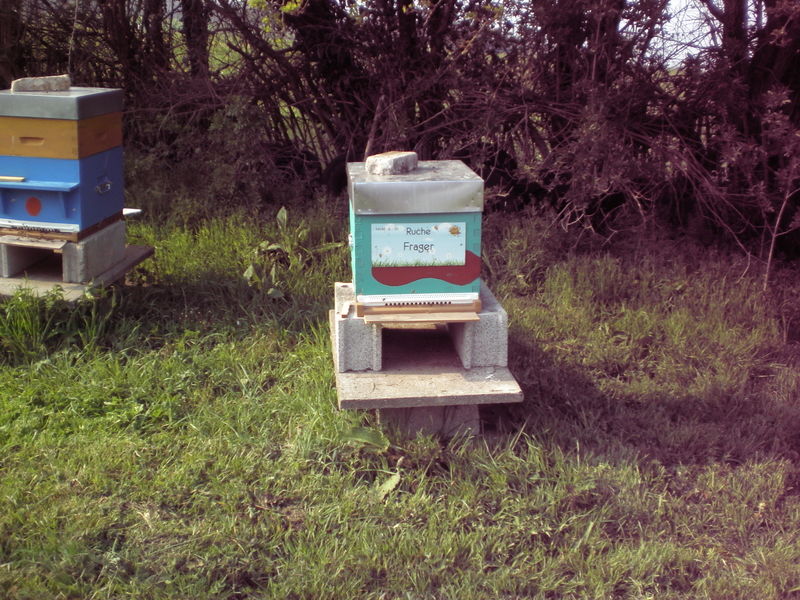 La ruche Frager