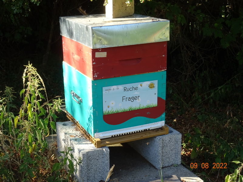 La ruche Frager