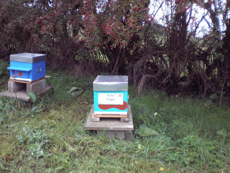 La ruche Frager