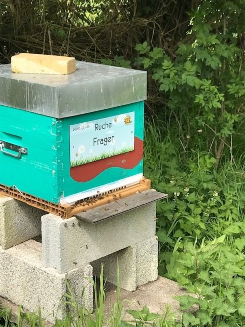 La ruche Frager