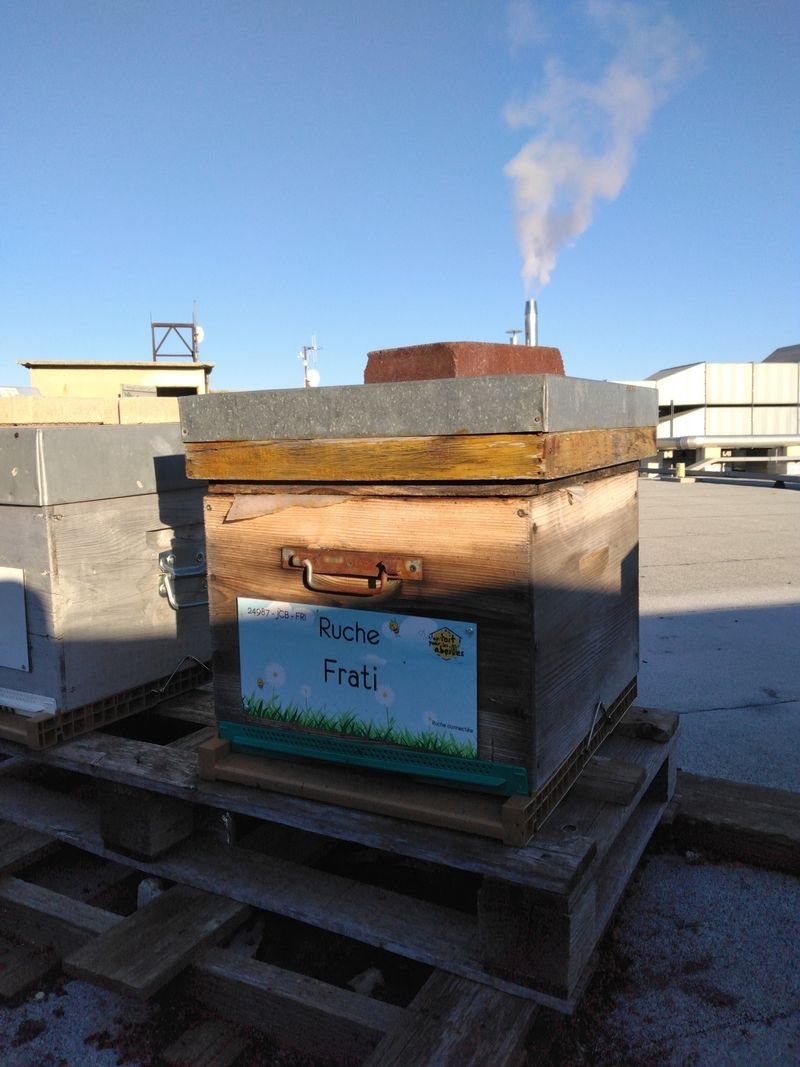 La ruche Frati