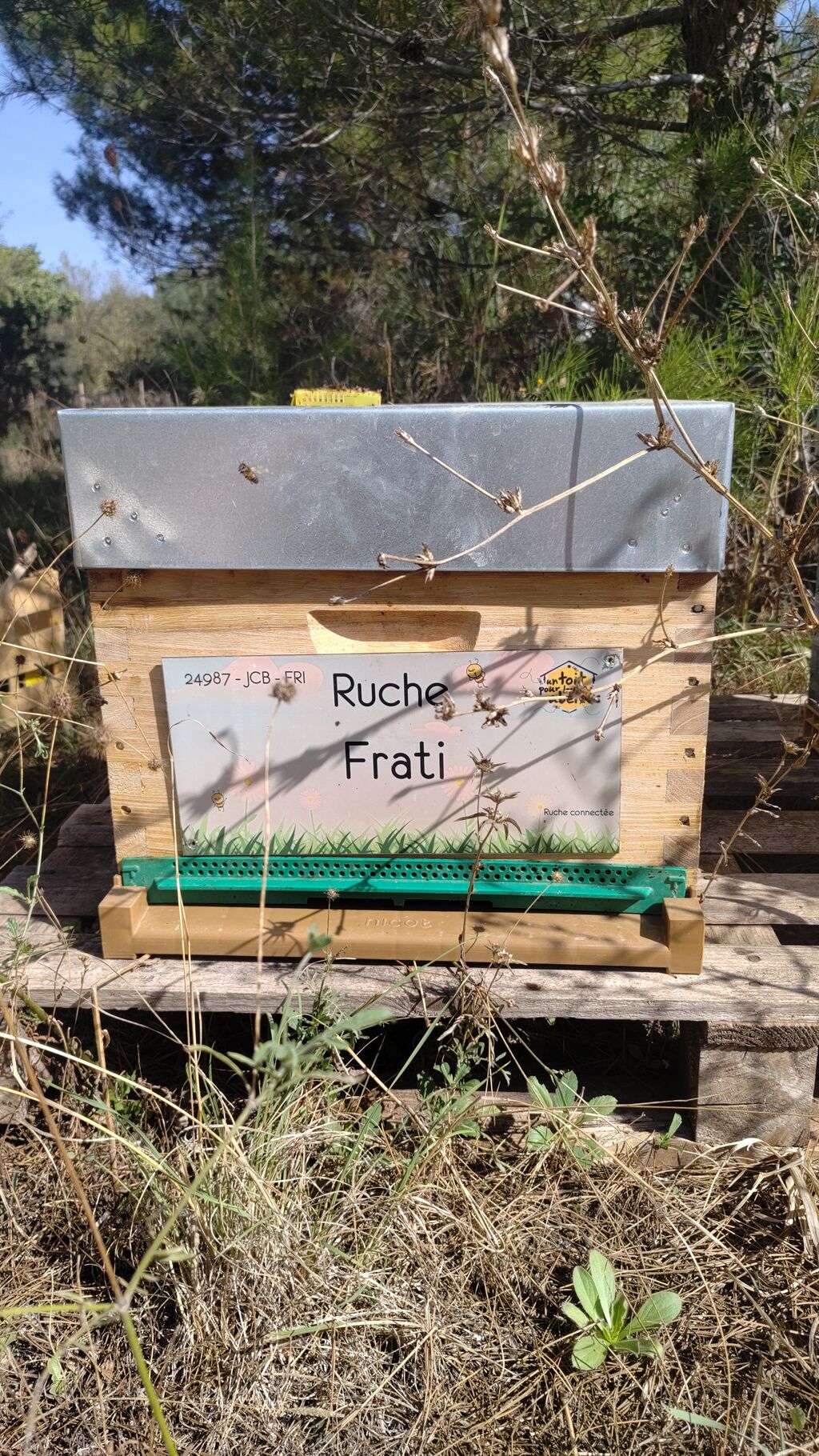 La ruche Frati