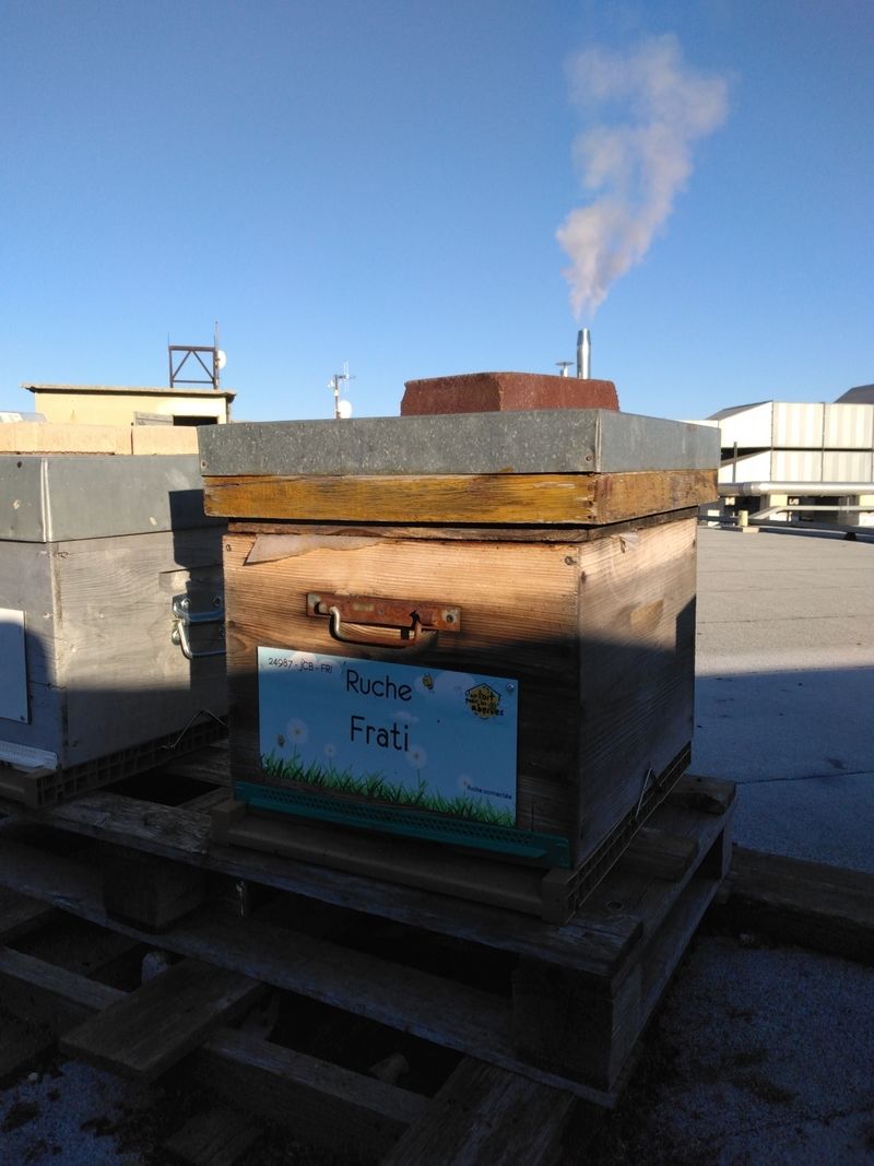 La ruche Frati