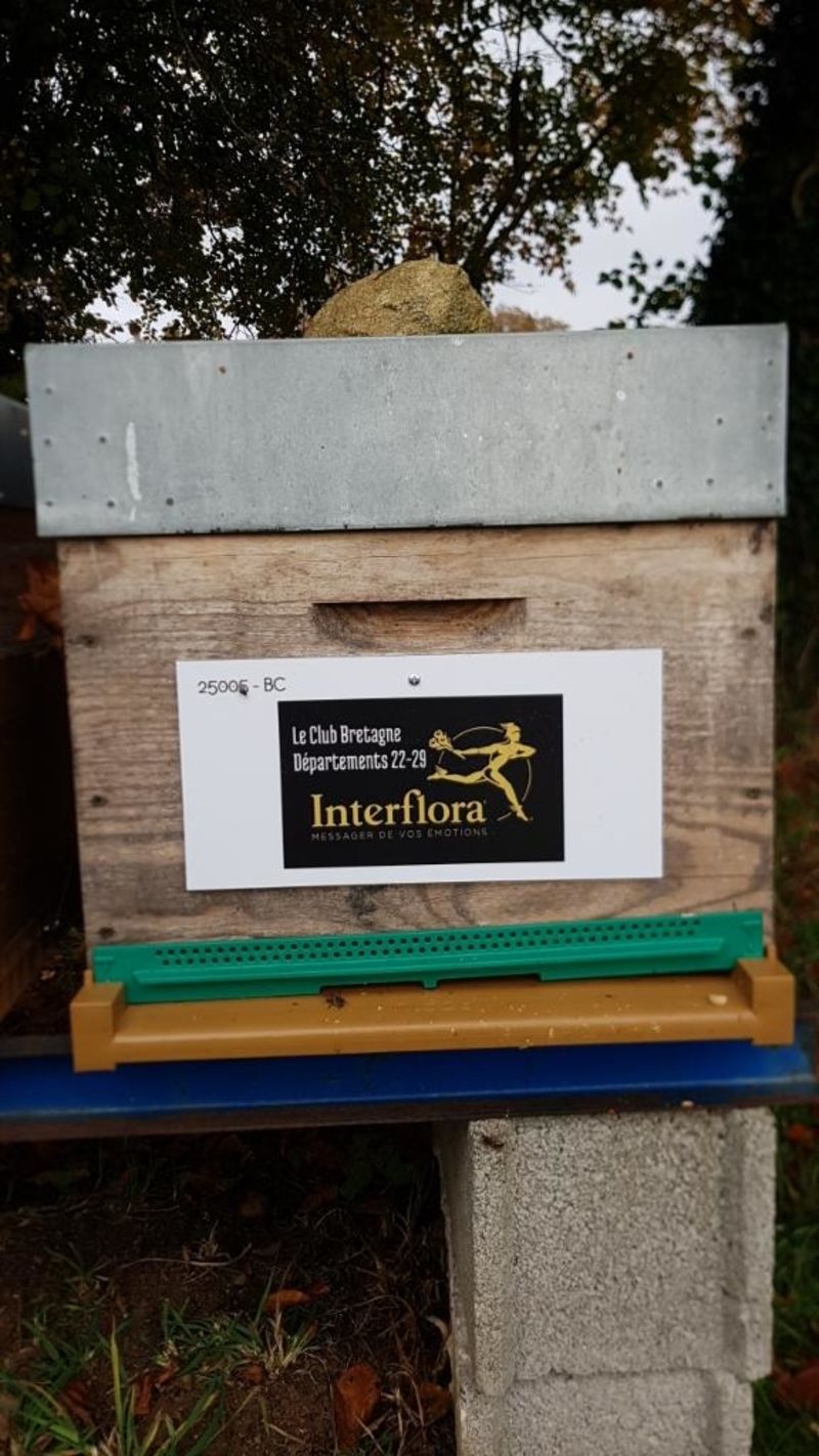 La ruche Club Interflora Bretagne