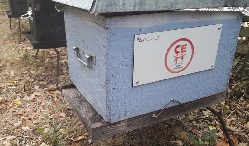 La ruche CSE Tisséo Ingénierie