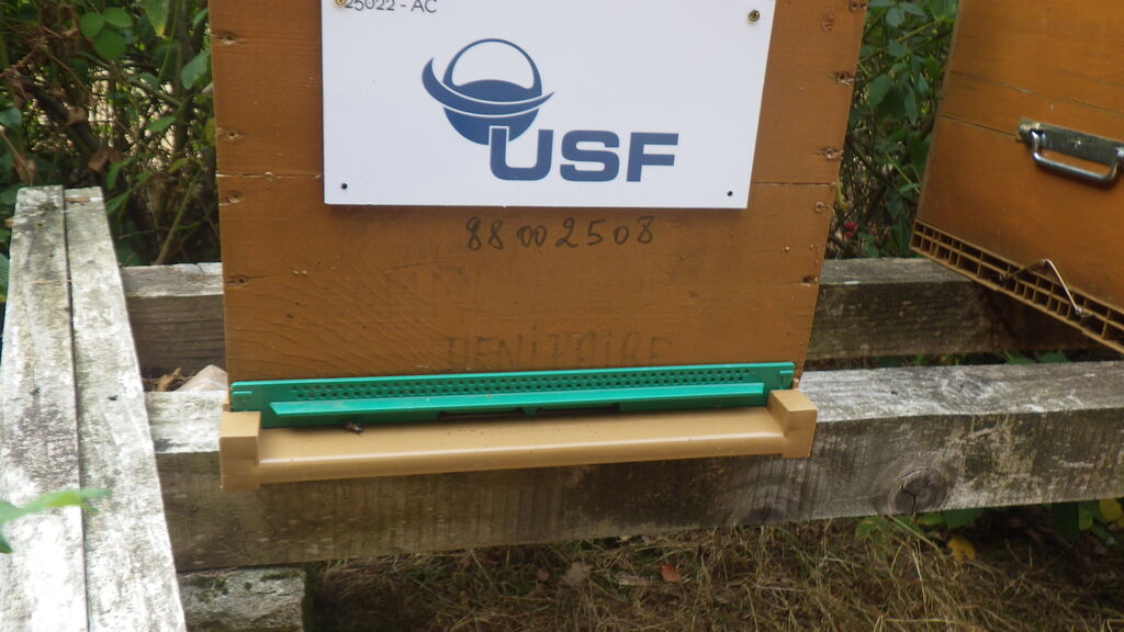 La ruche USF