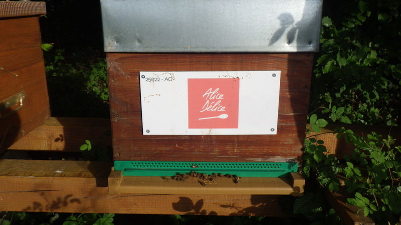 La ruche Alice Délice Reims