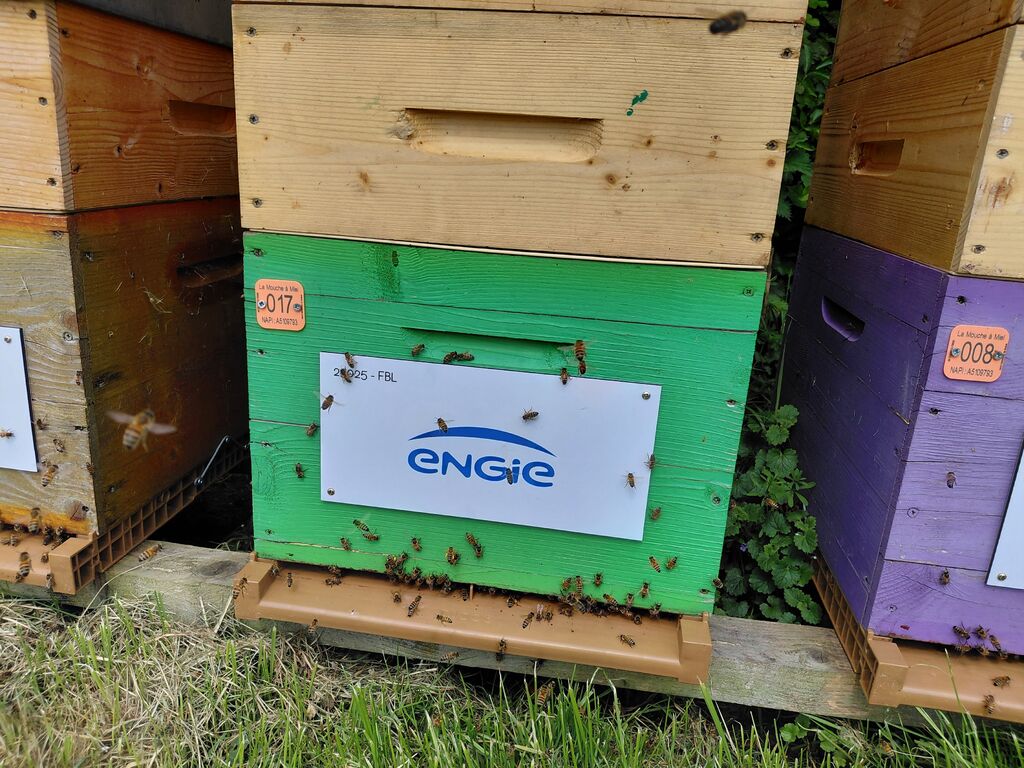 La ruche ENGIE - MPPA