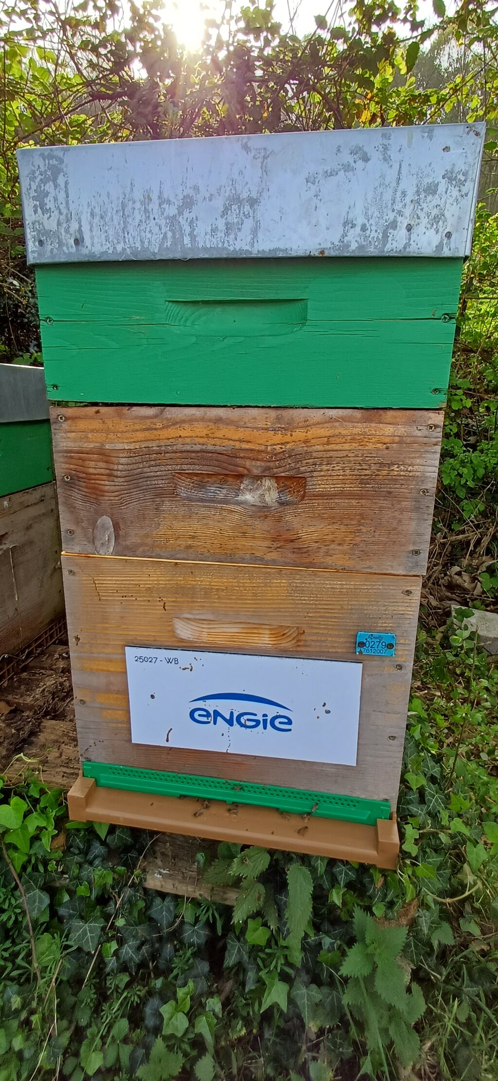 La ruche ENGIE - MPPA