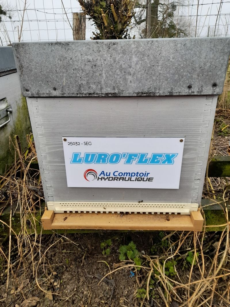 La ruche Luroflex - au comptoir hydraulique