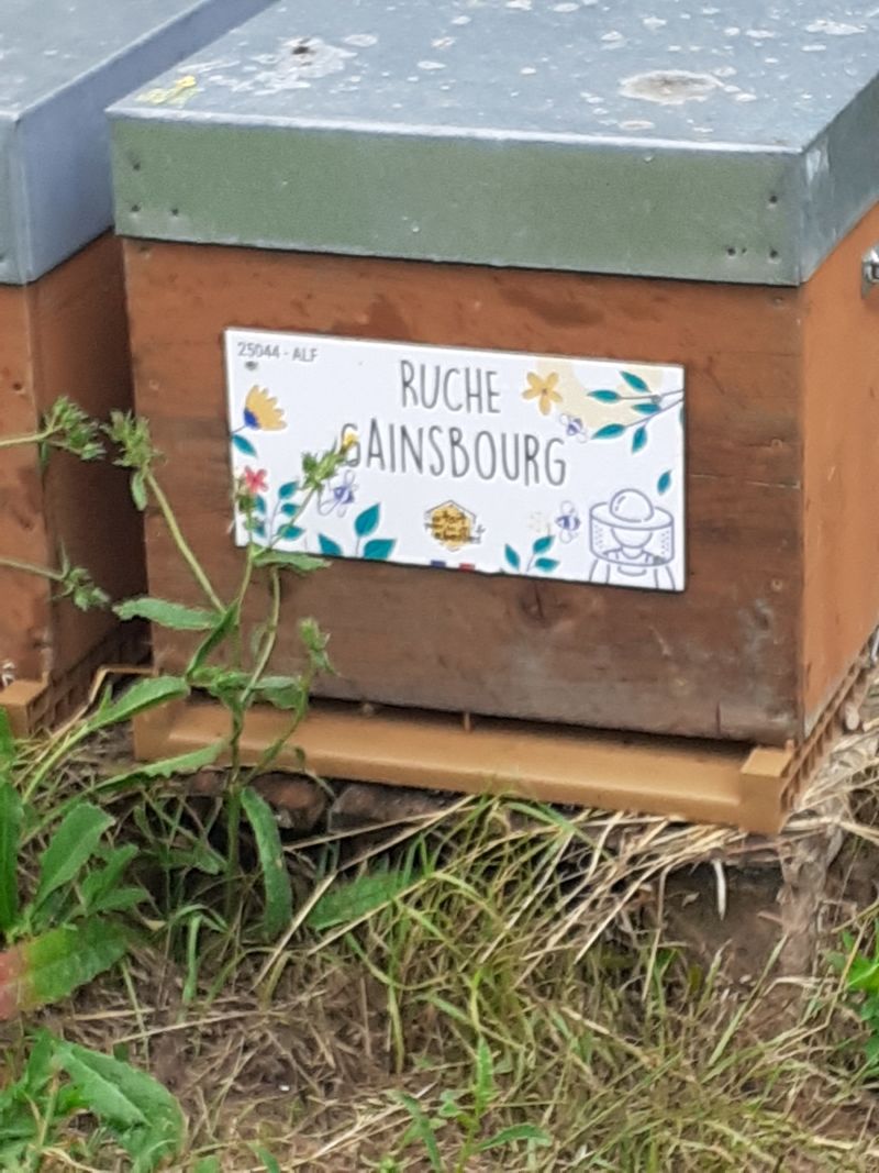 La ruche Gainsbourg