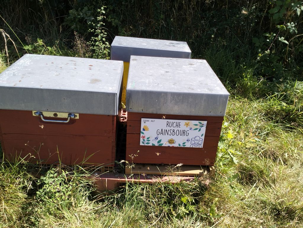 La ruche Gainsbourg