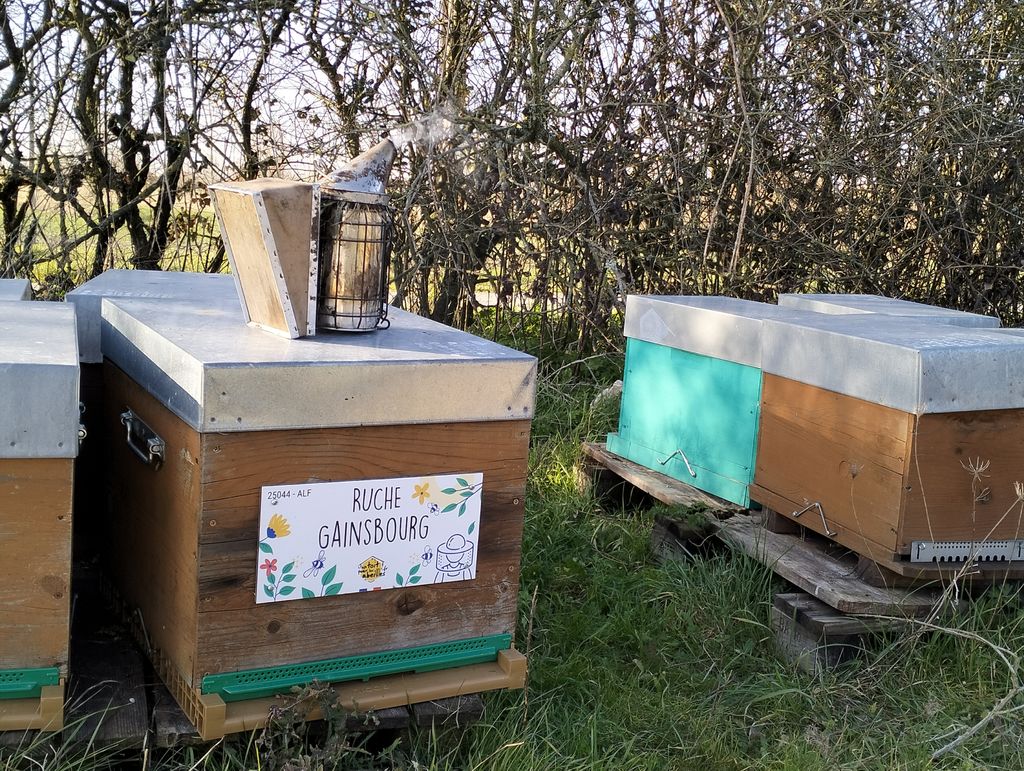 La ruche Gainsbourg