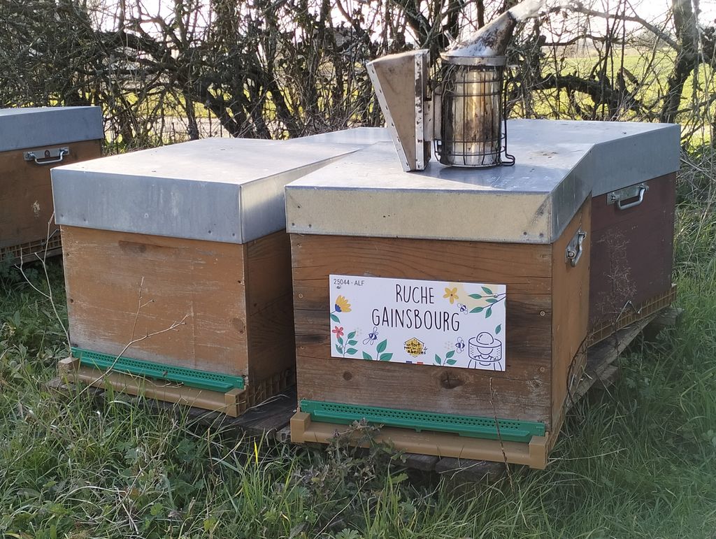 La ruche Gainsbourg
