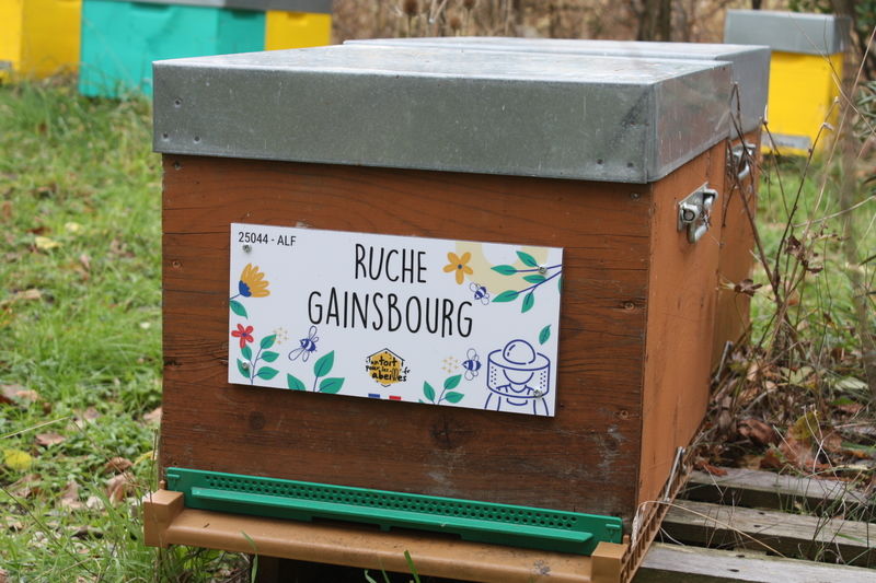 La ruche Gainsbourg