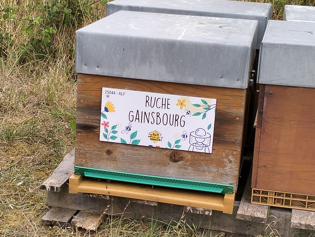 La ruche Gainsbourg