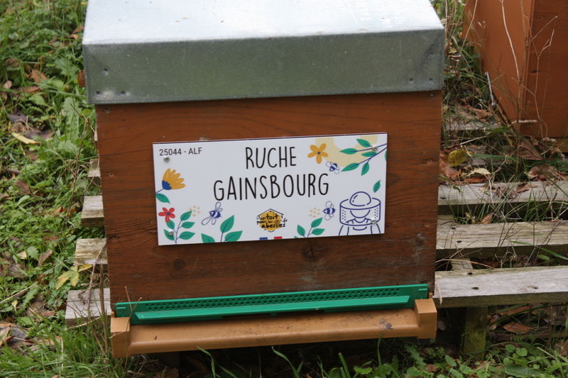 La ruche Gainsbourg