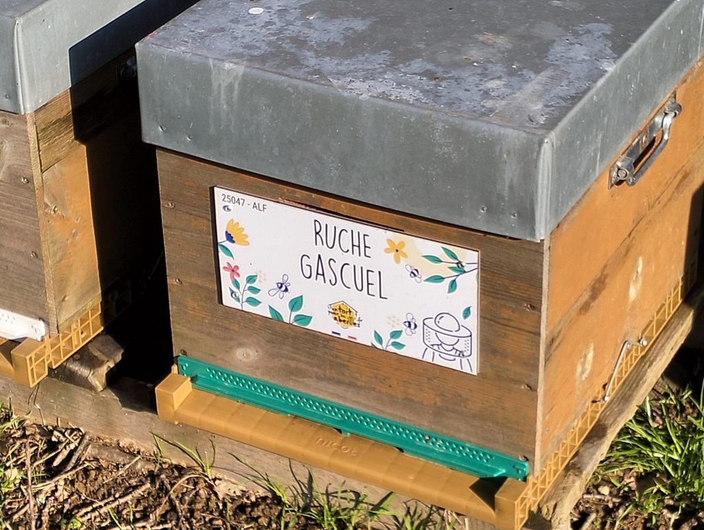 La ruche Gascuel