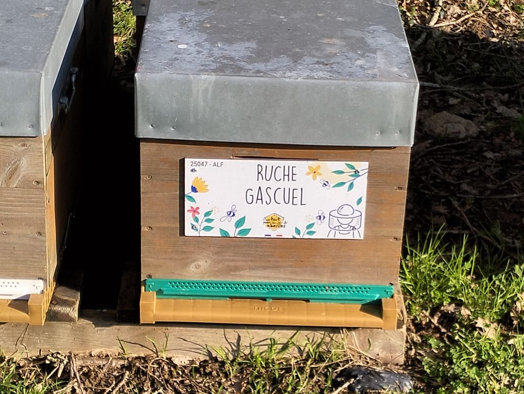 La ruche Gascuel
