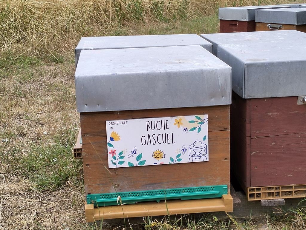 La ruche Gascuel